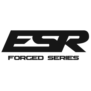 ESR logo